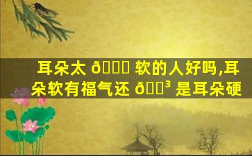 耳朵太 🕊 软的人好吗,耳朵软有福气还 🌳 是耳朵硬